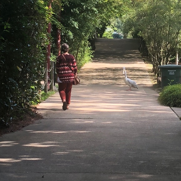 Meet your Posher, Amber - Picture 4 of 8